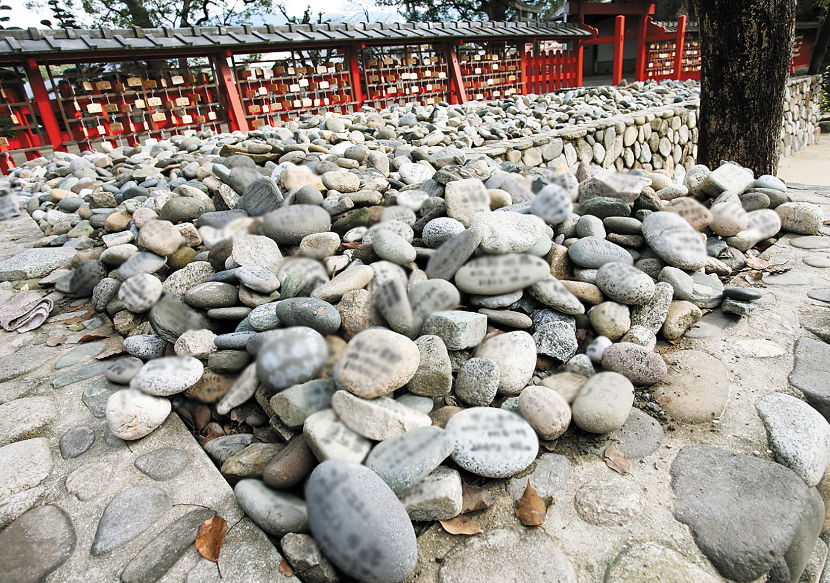 江戸時代の「筑前国続風土記」にも記されている宇美八幡宮の「子安の石」。安産祈願の際に持ち帰り、出産後のお礼参りに新たに1個奉納する