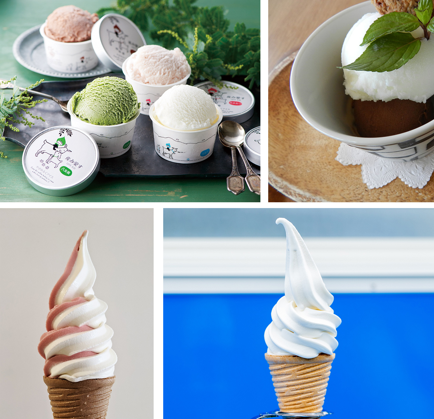 宇美町の新メェ〜ぶつ「やぎみるくアイス『産み愛す』」ミルク、あまおう、八女茶、ココアの4種で各350円                希少なヤギミルクを使ったソフトクリーム(左下・ミルク400円、右下・あまおう×ミルク430円)