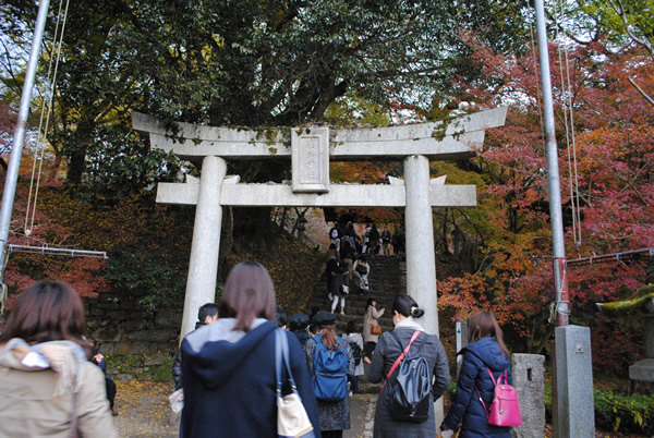 観光による復興支援